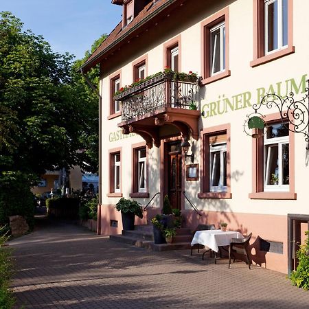 Hotel & Restaurant Gruener Baum Merzhausen 외부 사진