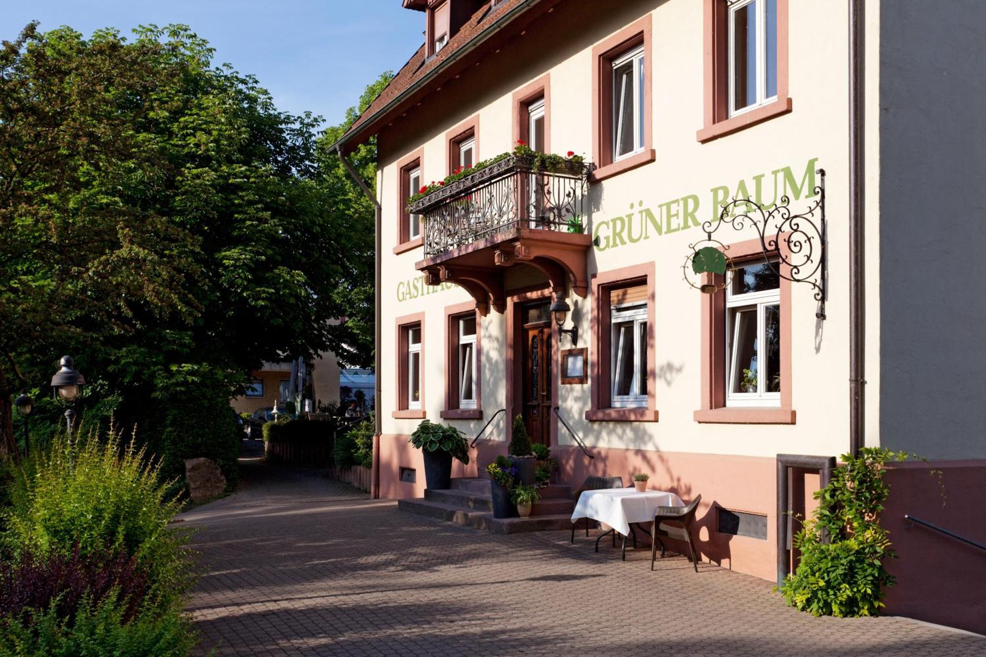 Hotel & Restaurant Gruener Baum Merzhausen 외부 사진
