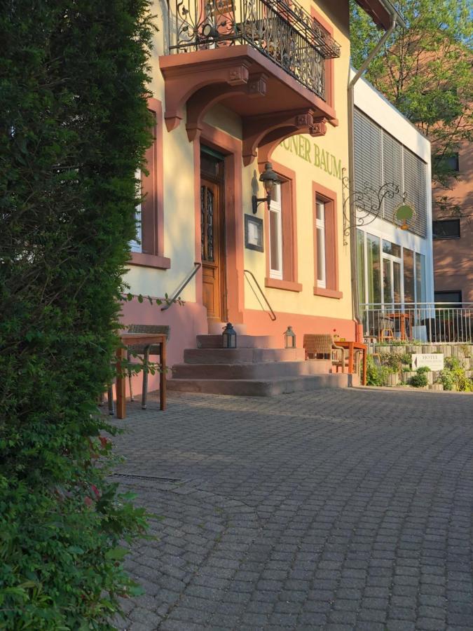Hotel & Restaurant Gruener Baum Merzhausen 외부 사진