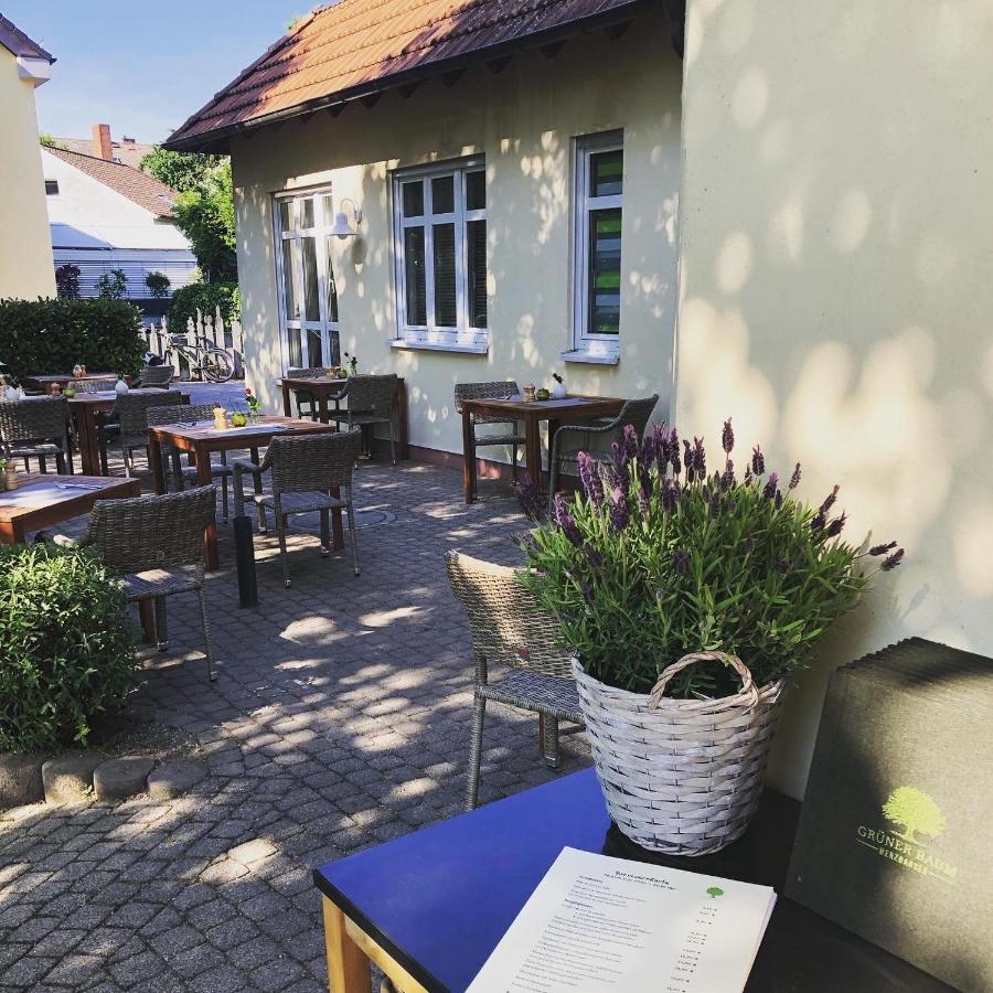 Hotel & Restaurant Gruener Baum Merzhausen 외부 사진